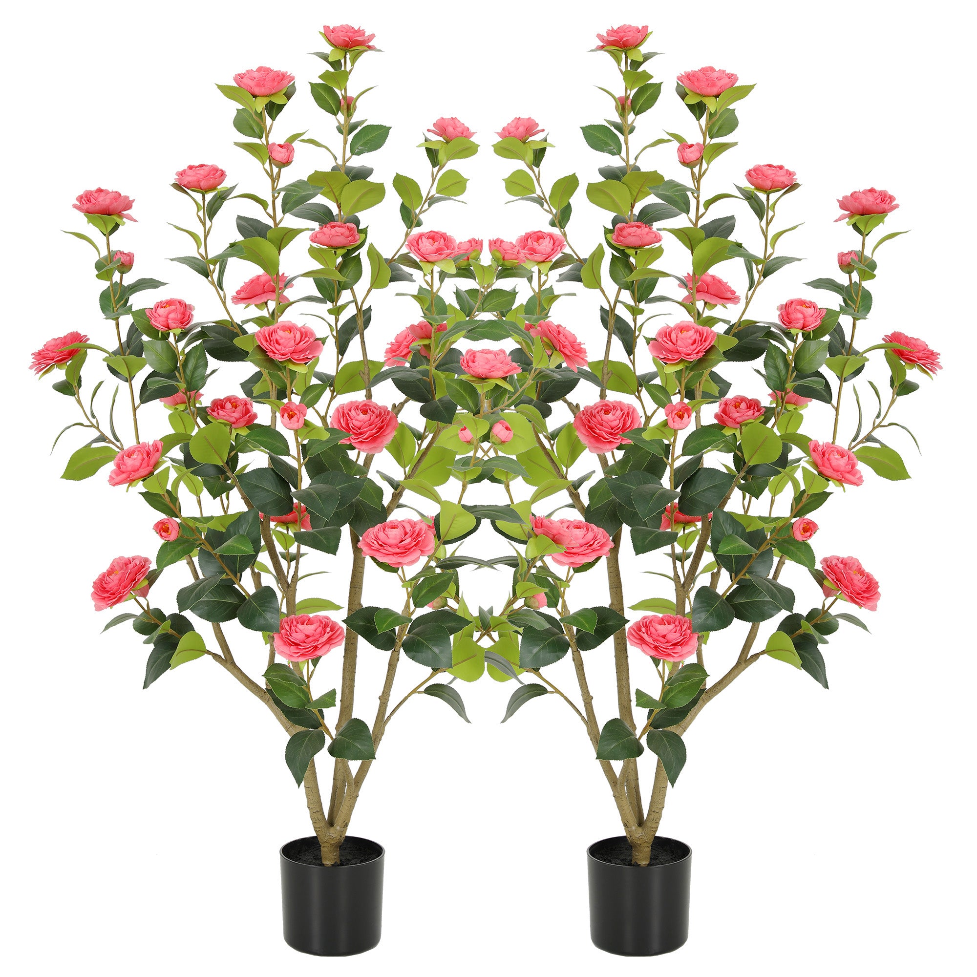 RosyHaven Full 2ft/3ft/4ft/5ft Artificial Camellia Tree with Realistic White/Pink/Red/Yellow/Orange Camellia Flowers, Fake Camellia Tree, Faux Camellia Tree outdoor for Front Door Porch Patio Garden Yard Pool Room Decor,2Pack