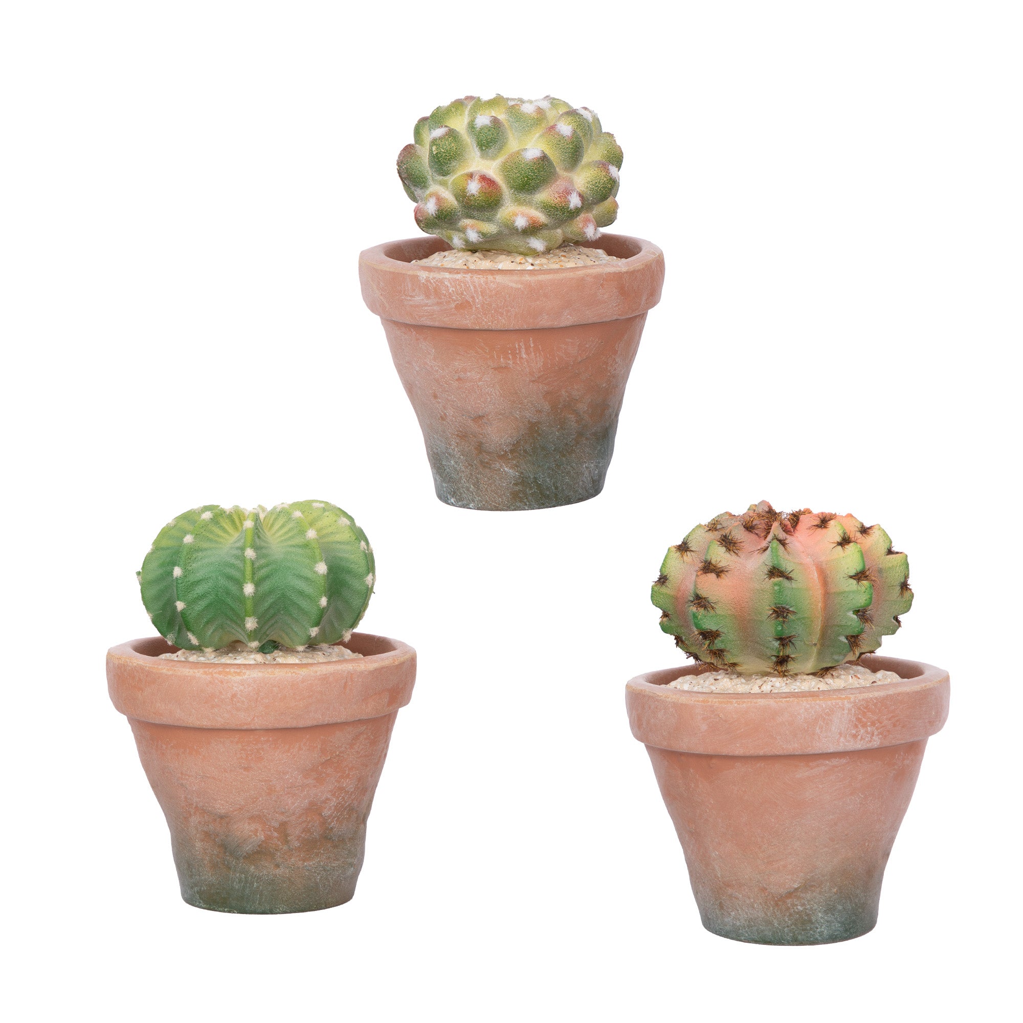 RosyHaven 5.6"+5.8"+5.6"/6.8"+7"+6.7"/7.7"+7.9"+7.9"/9.5" +10.3"+9.3"Small Artificial Succulents Plants in Terracotta Pot with Warm White & Multicolor Changing Light,Set Of 3 Fake Succulents for Table Desk Bathroom Kitchen Bedroom Shelf Decor