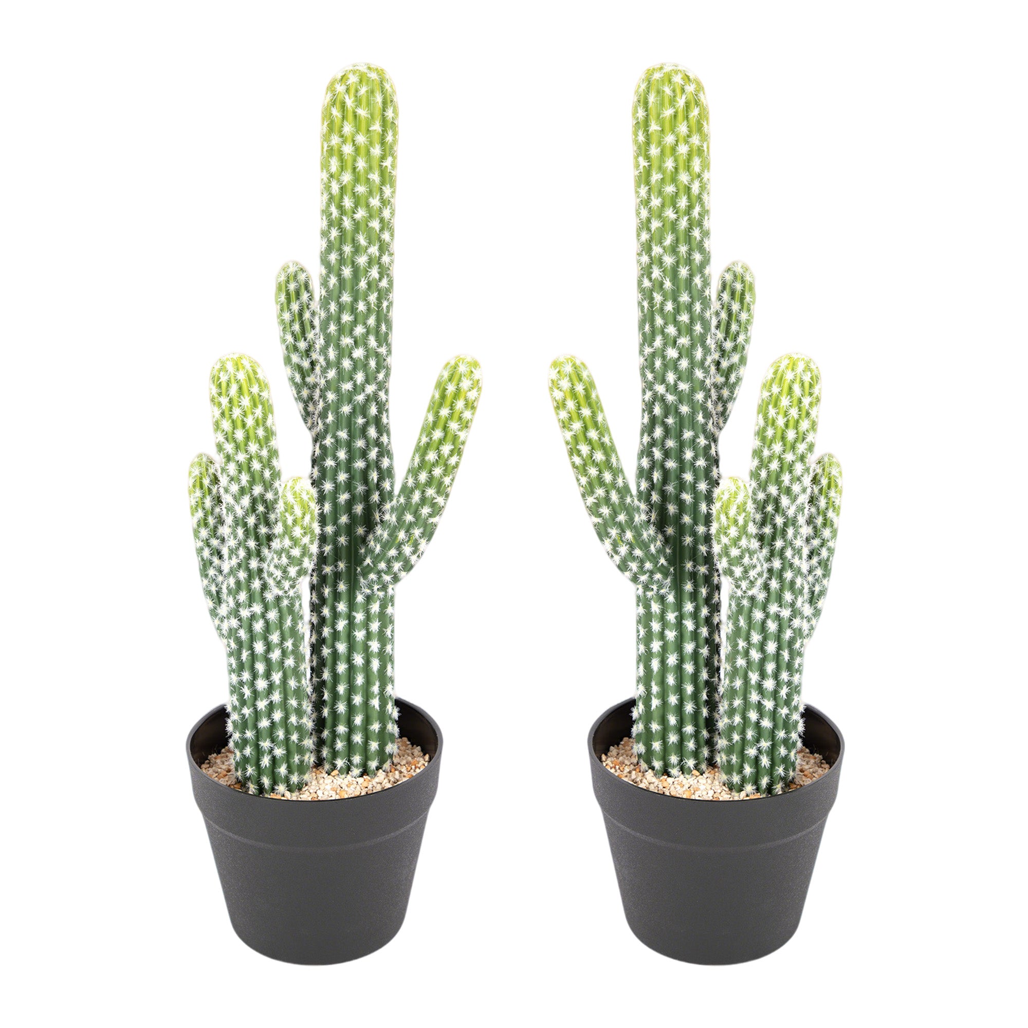 RosyHaven 23"/25.5"/30.7"32.6" Realistic Artificial Cactus Plants,  1pack/2packCute Faux Cactus Plants Indoor for Home Office Store Porch Patio Table Decor