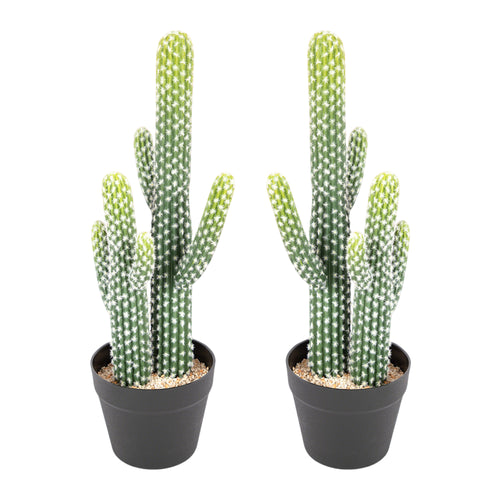 RosyHaven 23"/25.5"/30.7"32.6" Realistic Artificial Cactus Plants,  1pack/2packCute Faux Cactus Plants Indoor for Home Office Store Porch Patio Table Decor