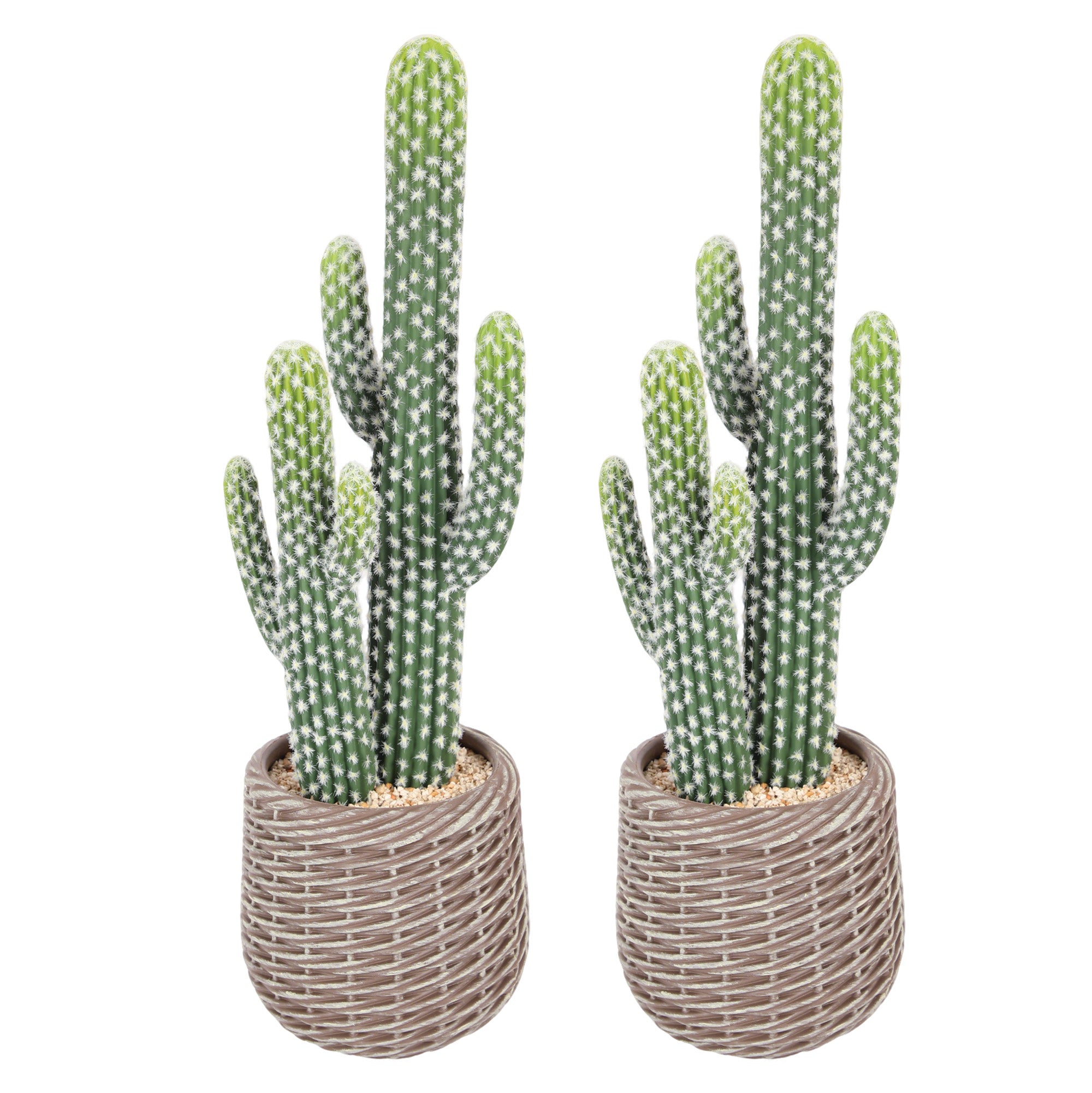 RosyHaven 23"/25.5"/30.7"32.6" Realistic Artificial Cactus Plants,  1pack/2packCute Faux Cactus Plants Indoor for Home Office Store Porch Patio Table Decor