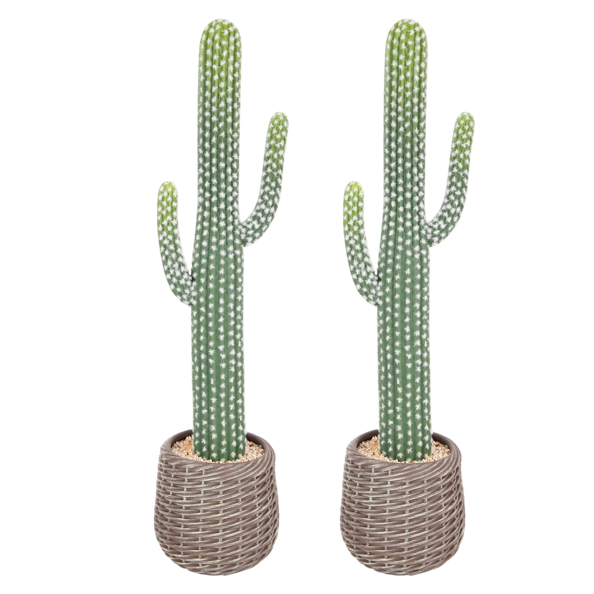 RosyHaven 23"/25.5"/30.7"32.6" Realistic Artificial Cactus Plants,  1pack/2packCute Faux Cactus Plants Indoor for Home Office Store Porch Patio Table Decor
