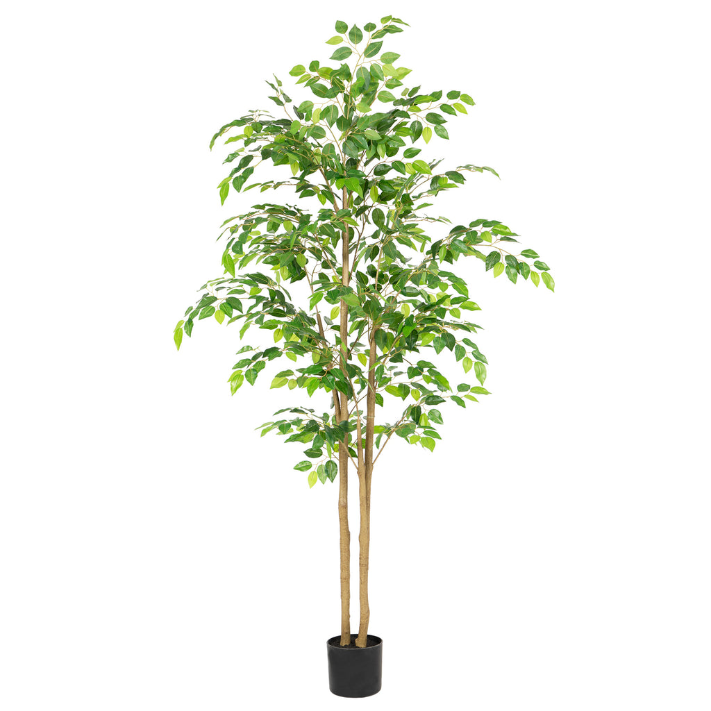 RosyHaven 5ft/6ft/7ft/8ft Real Touch Artificial Ficus Tree , Resistant UV Faux Ficus Tree with Waterproof Leaves and Realitic Trunks for Living Room Bedroom Dining Room Balcony Yard Patio Decor