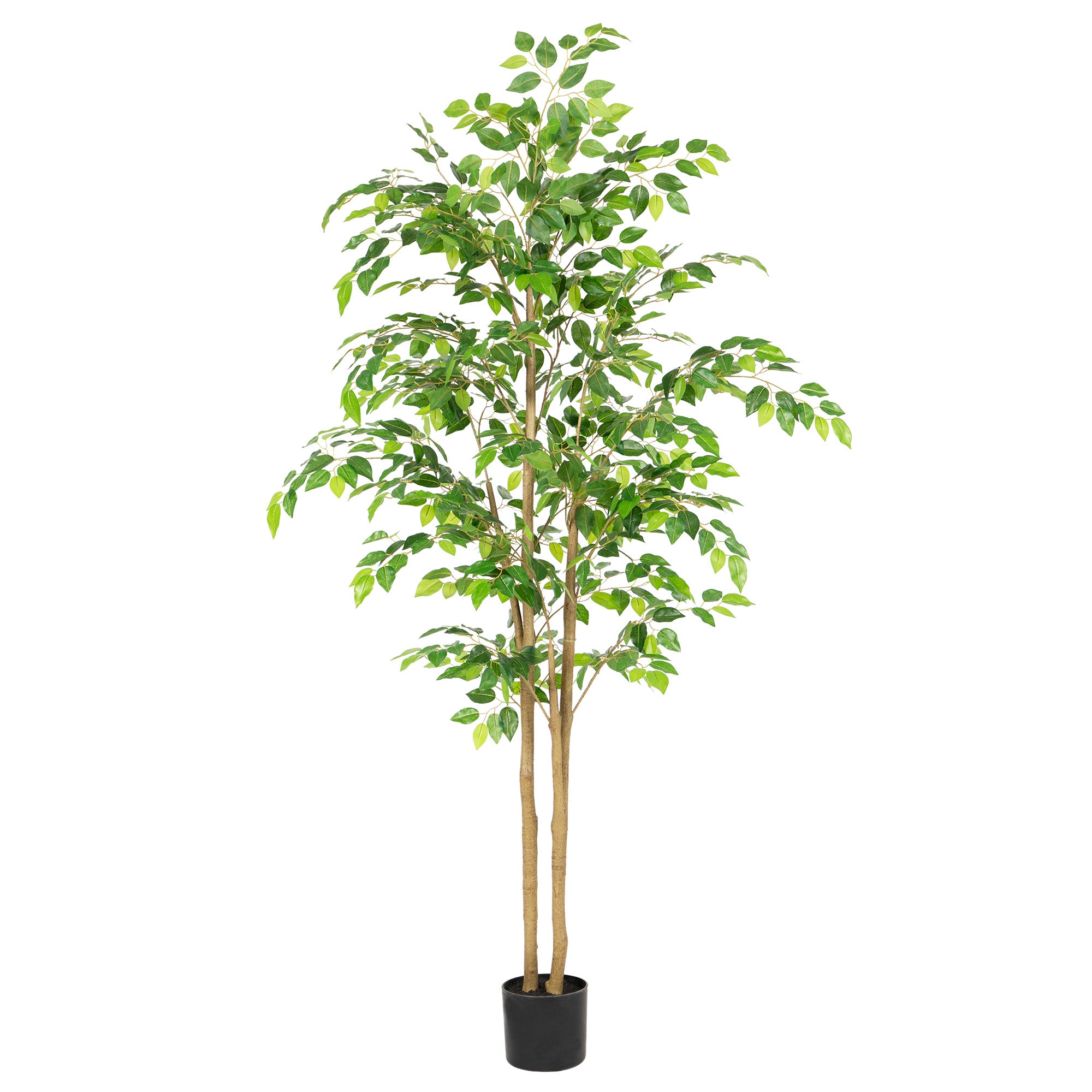 RosyHaven 5ft/6ft/7ft/8ft Real Touch Artificial Ficus Tree , Resistant UV Faux Ficus Tree with Waterproof Leaves and Realitic Trunks for Living Room Bedroom Dining Room Balcony Yard Patio Decor
