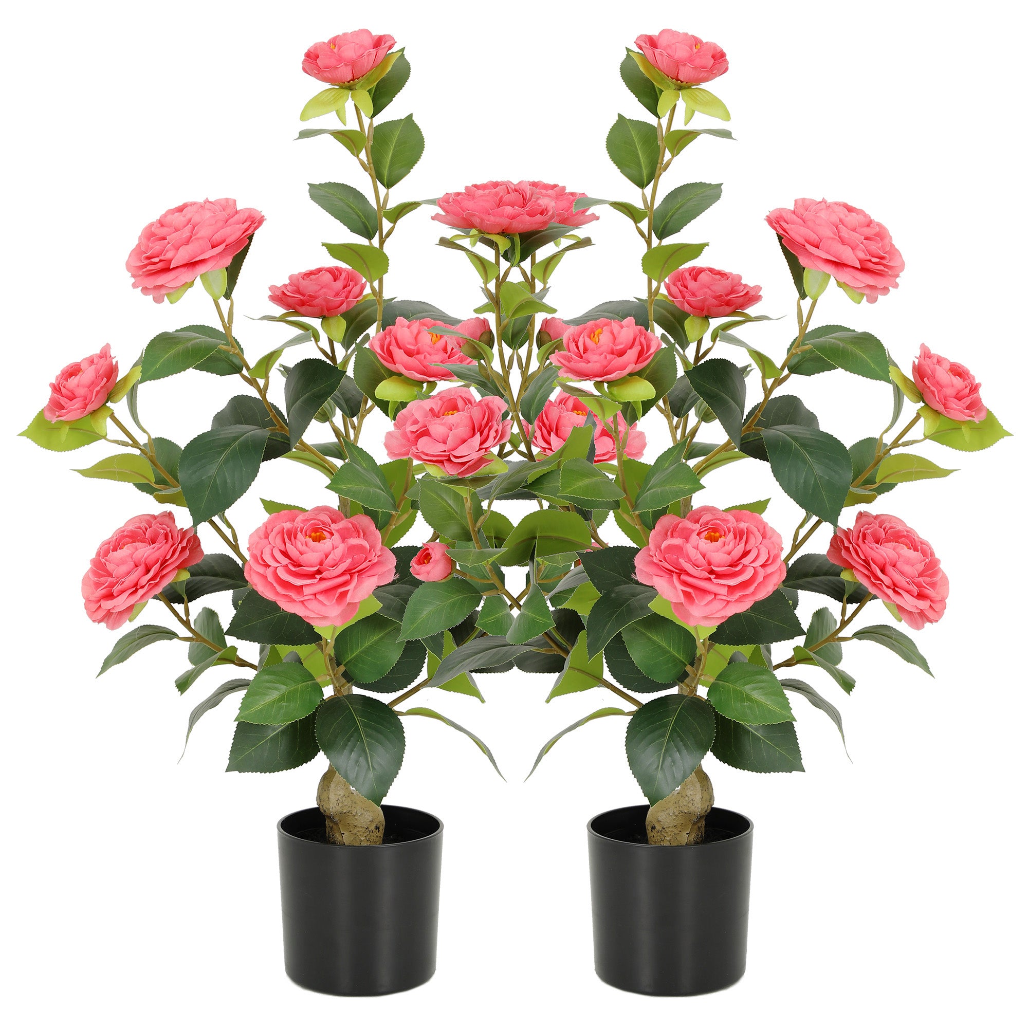 RosyHaven Full 2ft/3ft/4ft/5ft Artificial Camellia Tree with Realistic White/Pink/Red/Yellow/Orange Camellia Flowers, Fake Camellia Tree, Faux Camellia Tree outdoor for Front Door Porch Patio Garden Yard Pool Room Decor,2Pack