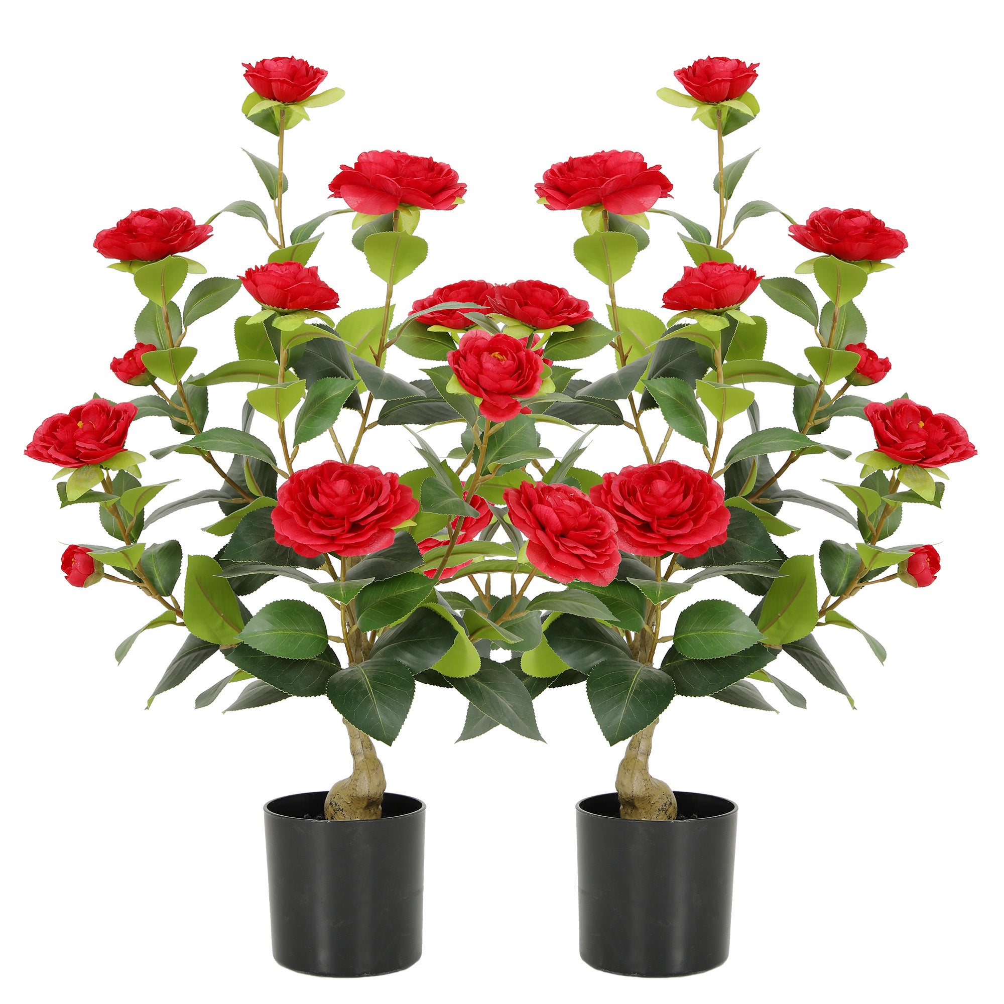 RosyHaven Full 2ft/3ft/4ft/5ft Artificial Camellia Tree with Realistic White/Pink/Red/Yellow/Orange Camellia Flowers, Fake Camellia Tree, Faux Camellia Tree outdoor for Front Door Porch Patio Garden Yard Pool Room Decor,2Pack