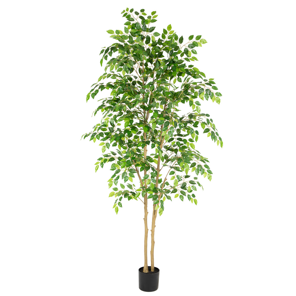RosyHaven 5ft/6ft/7ft/8ft Real Touch Artificial Ficus Tree , Resistant UV Faux Ficus Tree with Waterproof Leaves and Realitic Trunks for Living Room Bedroom Dining Room Balcony Yard Patio Decor