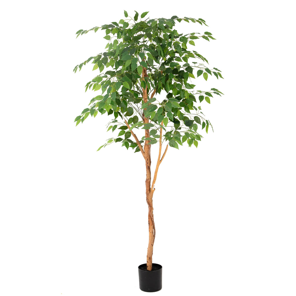 RosyHaven 6ft Resistant UV Artificial Ficus Tree with Real Wood Trunks and Waterproof & Real Touch Leaves, 72"Realistic Faux Ficus Tree for Living Room Bedroom Dining Room Balcony Yard Patio Decor