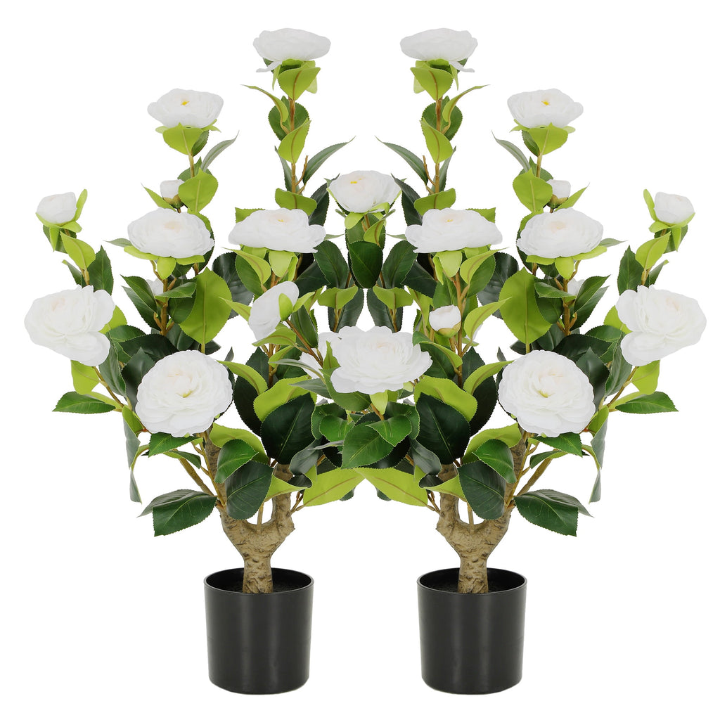 RosyHaven 2Pack 2ft Artificial Camellia Tree with Realistic White Flowers, 24"Fake Camellia Tree, Faux Camellia Tree outdoor with Camellia Flowers for Front Door Porch Patio Garden Yard Pool Room Dec