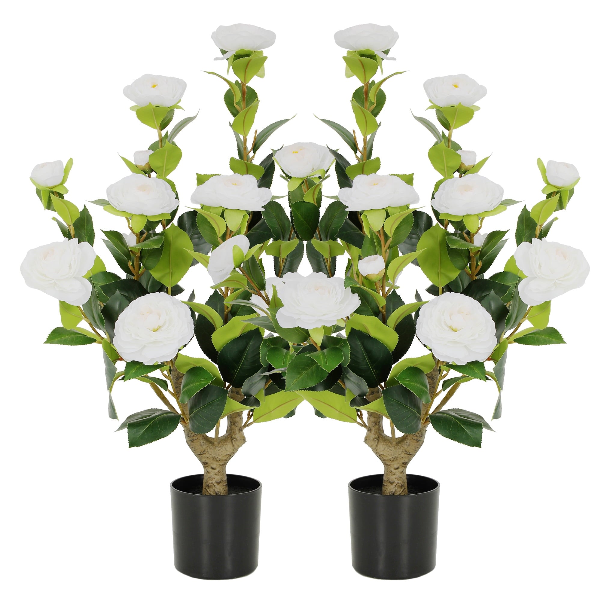 RosyHaven 2Pack 2ft Artificial Camellia Tree with Realistic White Flowers, 24"Fake Camellia Tree, Faux Camellia Tree outdoor with Camellia Flowers for Front Door Porch Patio Garden Yard Pool Room Dec